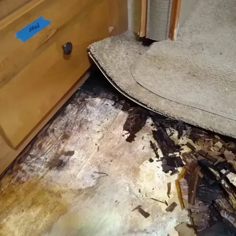 Wood Floor Water Damage in City of Suffolk, VA